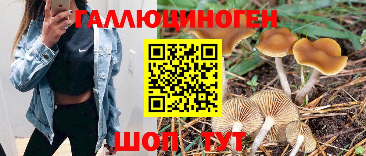 Псилоцибиновые грибы прущие грибы Усть-Джегута