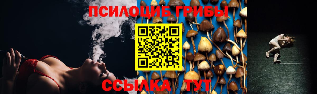 Усть-Джегута  где можно купить   Вход с VPN  Псилоцибиновые грибы Magic Shrooms 